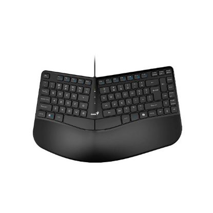 Imagen de TECLADO MULTIMEDIA ERGO GENIUS KB-700 USB NEGRO