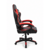 Imagen de SILLA GAMER POTENZZA CH25 CON APOYO LUMBAR 